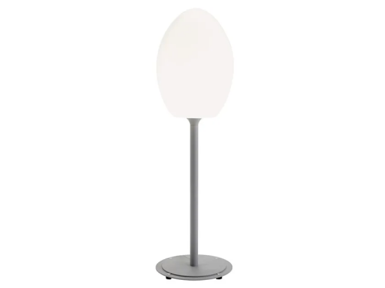 Egg