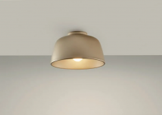 Miso