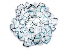 Clizia medium