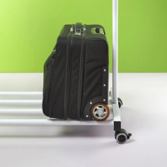 Mobile coat stand