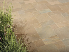 Point beige multicolor