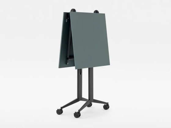 Timmy libro h1050