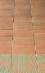 Tierras industrial frame blush
