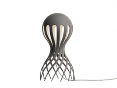 Cirrata grey