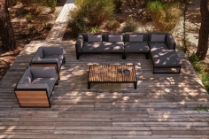 Dna teak