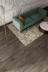 Meet eclectic brown