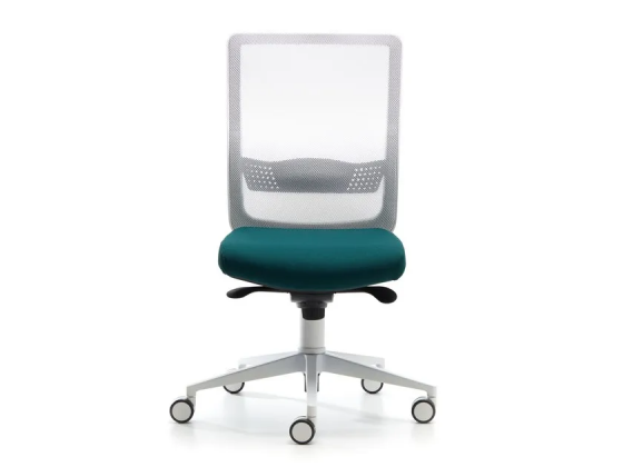 Bursa evo white 2 