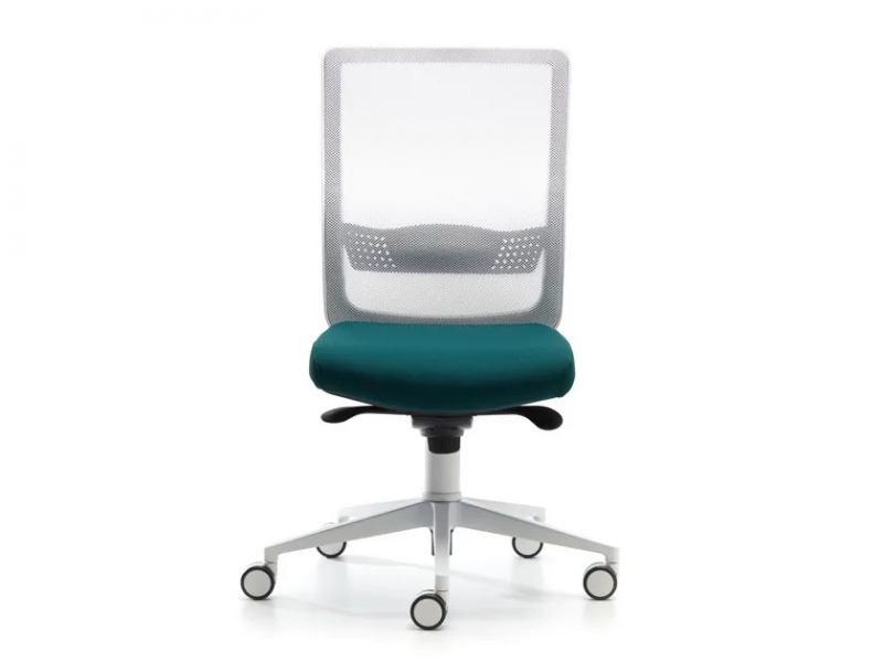 Bursa evo white 2 