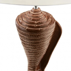 Conus