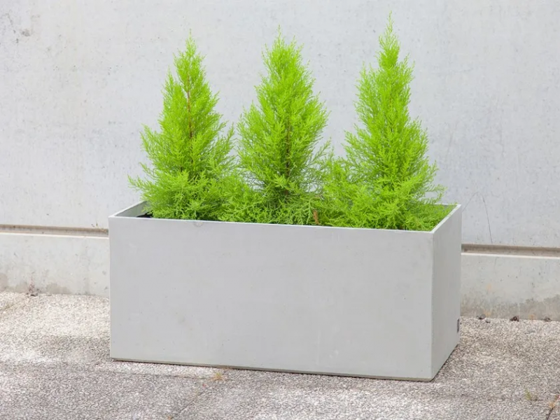Box