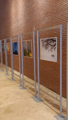 Hoto mostra
