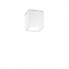 Techo pl1