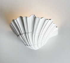 Coquillage 36b