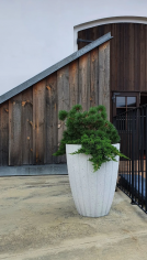 Decor l