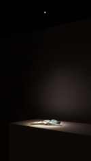 Lens light