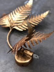 Fern medium
