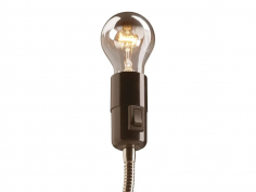 Lightworm