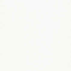 Slimtech absolute extra white