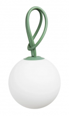 Bolleke