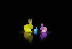 Rabbit xs