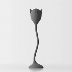 Tulipan