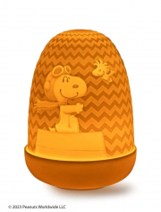 Snoopy™ dome