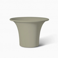 Cone