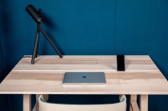 Buzzipicnic desk