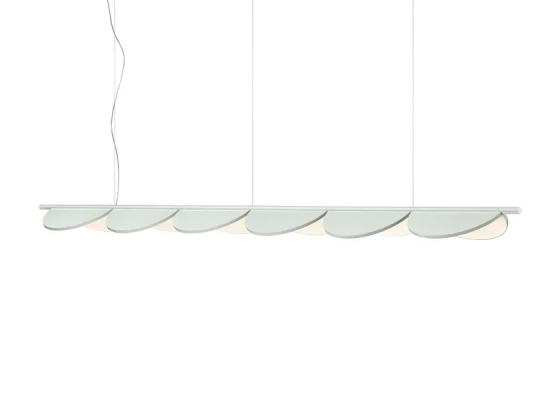 Almendra linear