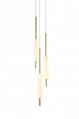 Typha 285.02