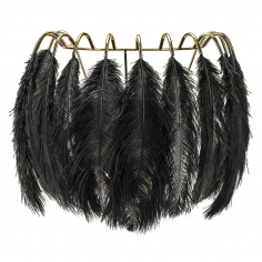Feather