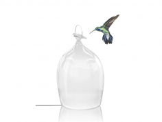 Smoon cage glass