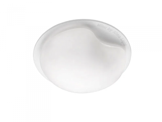 Mizu