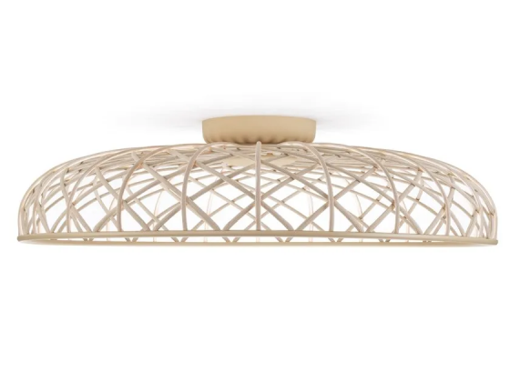 Skynest ceiling