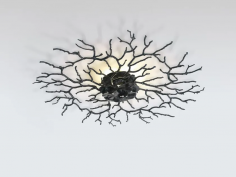 Coral zoa eye medium