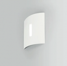 Iron