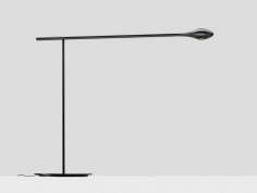 Carbon light