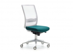 Bursa evo white 2 
