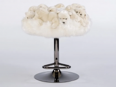 Fluffy polar
