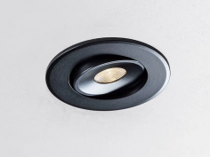 Eye