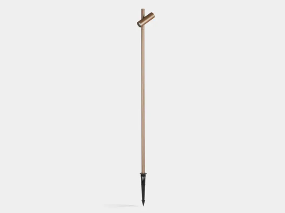 Juncus