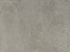 Boston grey