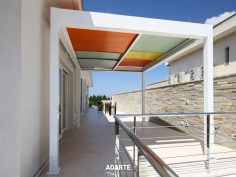 A501 arlequin