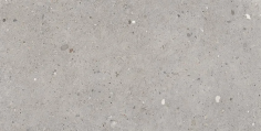 Ego grigio