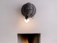 Ugo rilla