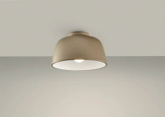 Miso