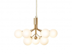 Apiales 9 brushed brass
