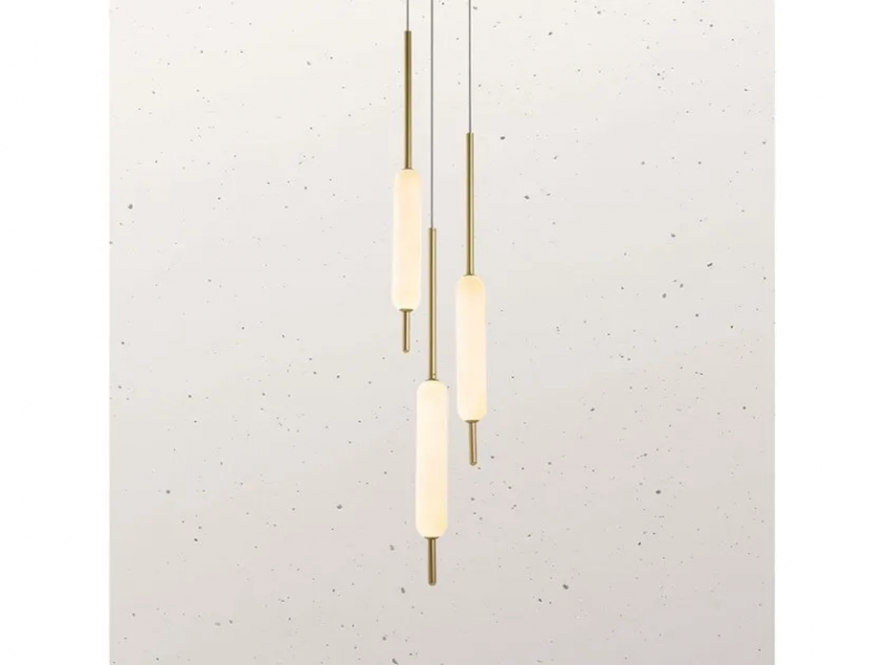 Typha 285.02