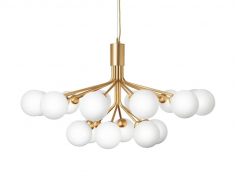 Apiales 18 brushed brass