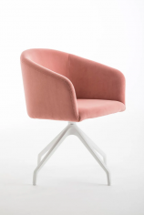 Bloom xl